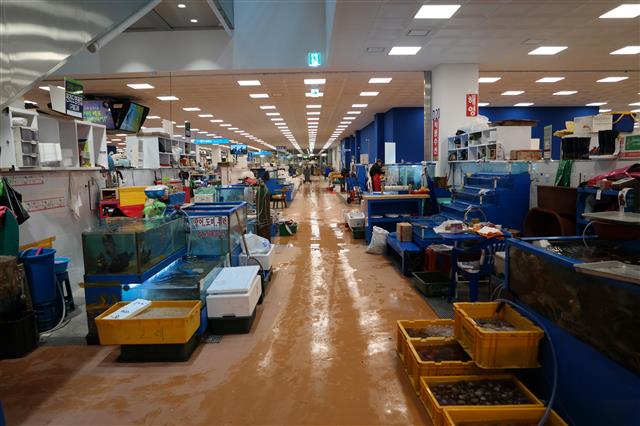 같은 날 새벽 수협중앙회가 새롭게 만든 현대식 수산시장은 상인들의 입주율이 낮아 썰렁한 모습을 보이고 있다. 조용철 기자 cyc0305@seoul.co.kr