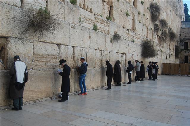 통곡의 벽에서 토라를 읽고 기도를 드리는 유대인들. 통곡의 벽 앞에 나아가기 위해서는 외국인이더라도 유대교 전통 모자인 ‘카파’를 써야 한다.