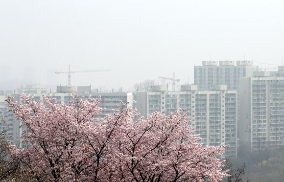 사흘 연속 미세먼지 주의보가 발령된 10일 서울 남산에서 바라본 서울 하늘이 뿌연 모습을 보이고 있다.  이날 낮 12시 기준 서울 25개 구의 미세먼지 시간 평균 농도는 1599㎍/㎥를 기록했다. 연합뉴스 