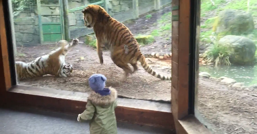 유튜브 영상 캡처