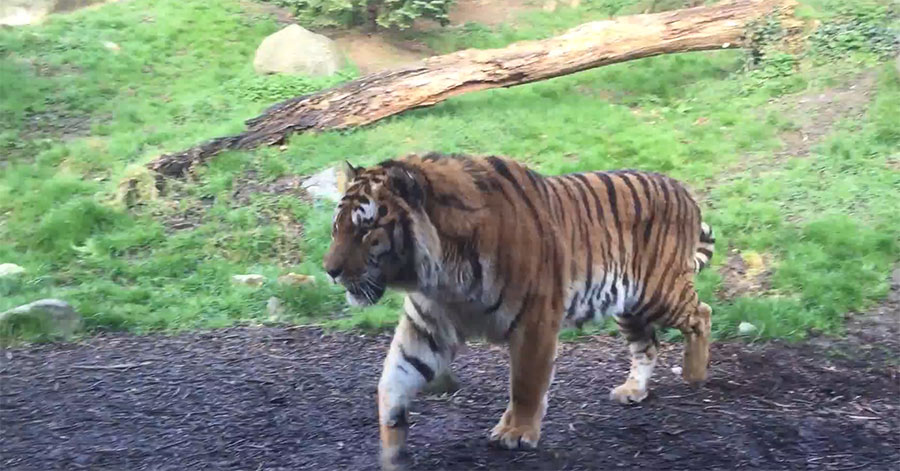 유튜브 영상 캡처