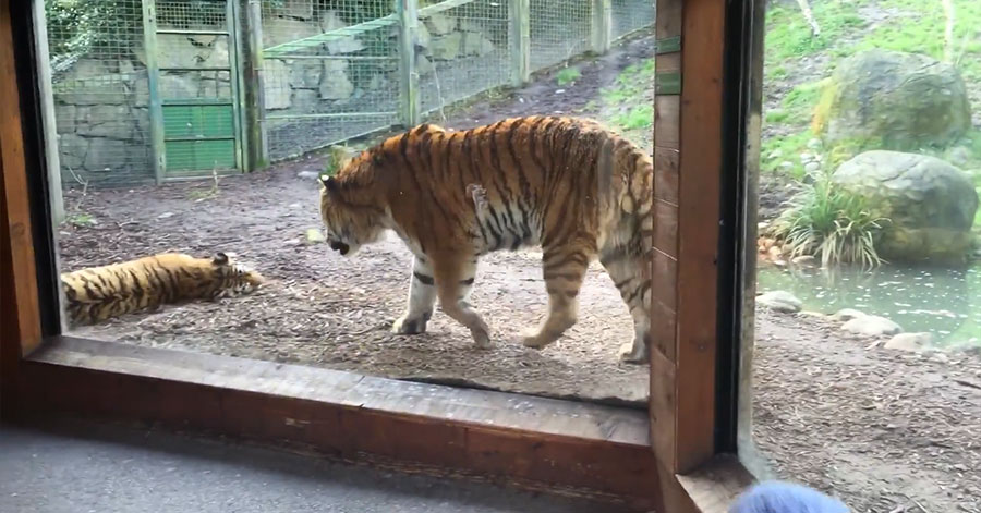 유튜브 영상 캡처