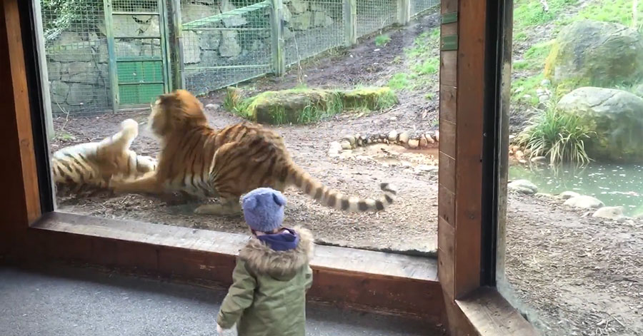 유튜브 영상 캡처