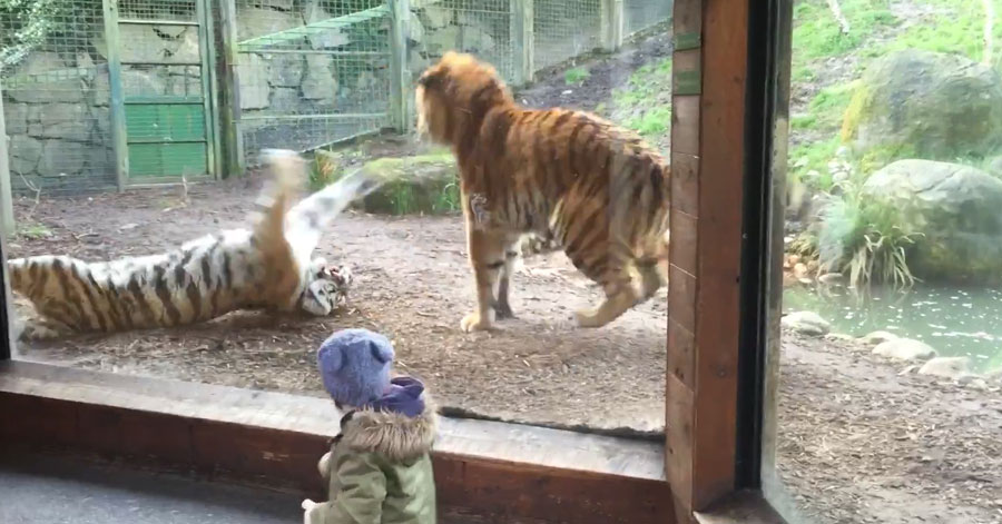 유튜브 영상 캡처