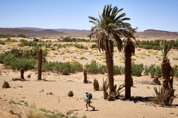11일(현지시간) 열린 제31회 모로코 사하라 사막 마라톤 대회(MDS)에서 한 참가자가 사막을 달리고 있다. AFP 연합뉴스