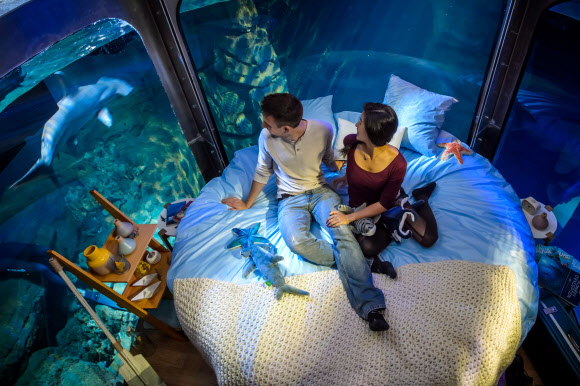 12일(현지시간) 프랑스 파리 아쿠아리움 상어 수족관에 설치된 수중 침실에서 ‘상어와 함께 하룻밤’ 이벤트에 당첨된 남녀 한 쌍이 상어를 바라보고 있다. EPA 연합뉴스