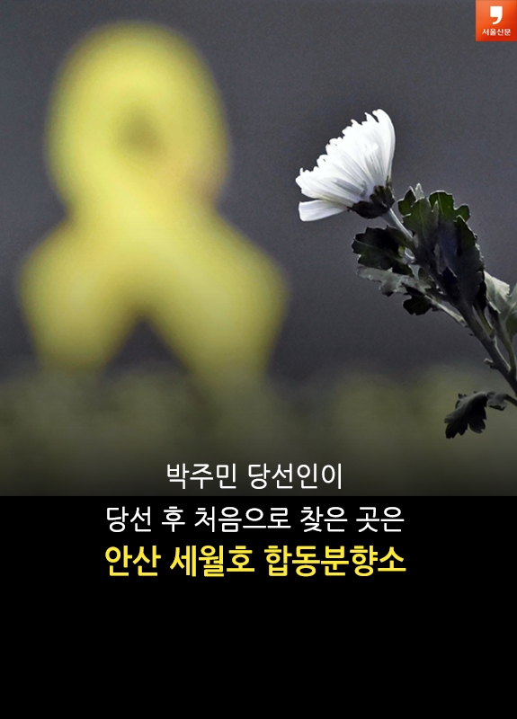 [카드뉴스]’세월호 변호사’ 선거운동원의 비밀 10