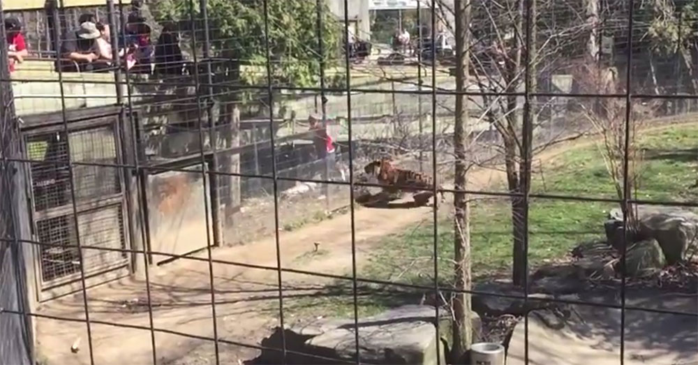 유튜브 영상 캡처