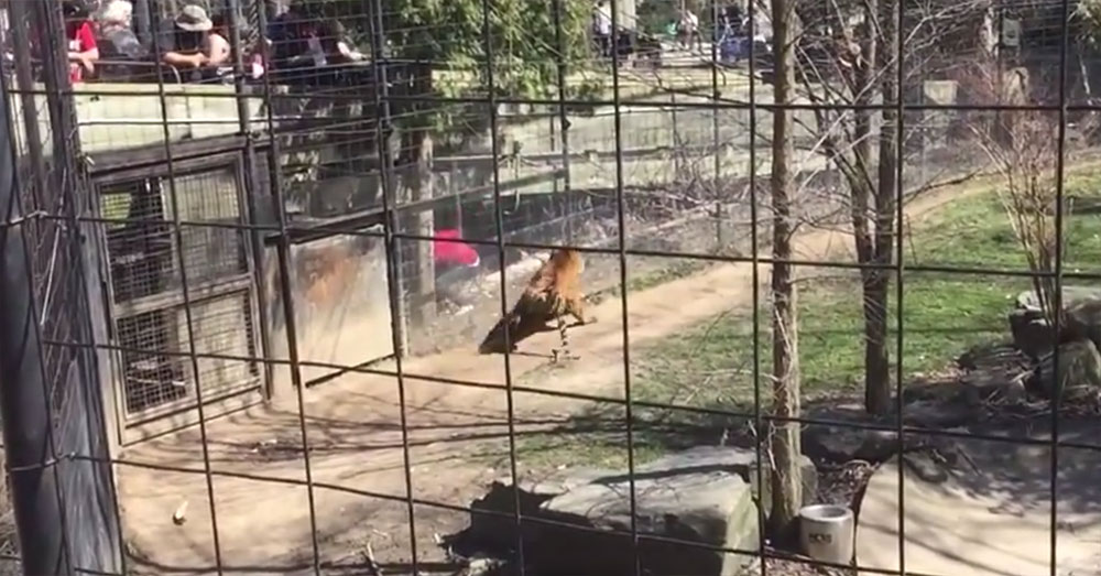 유튜브 영상 캡처