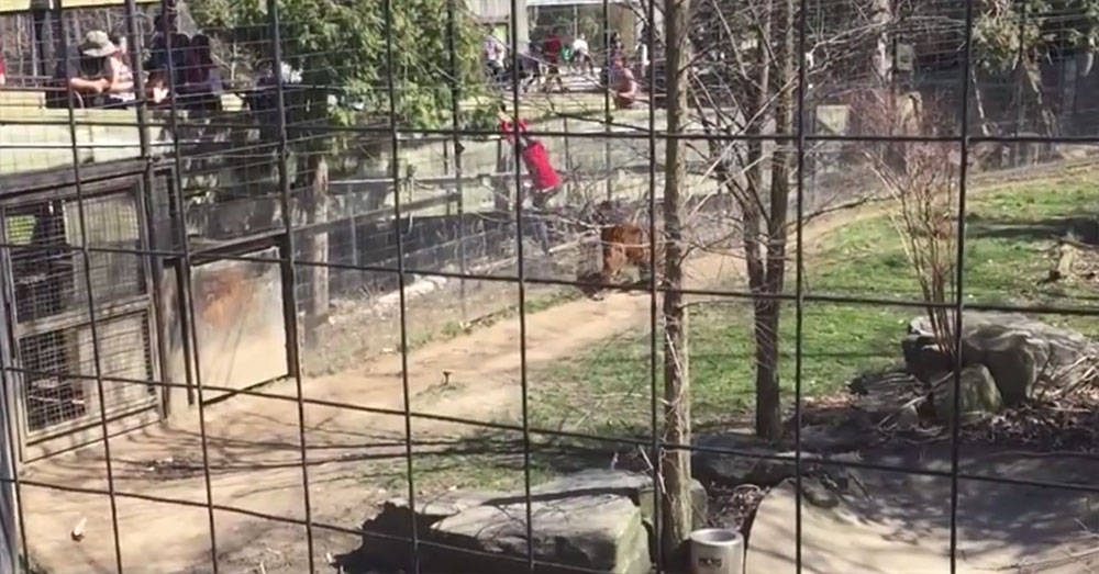 유튜브 영상 캡처