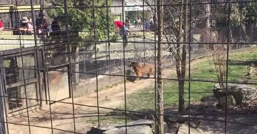 유튜브 영상 캡처