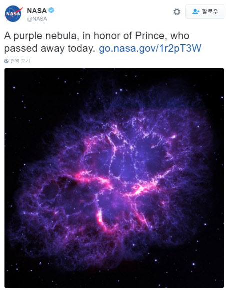 ’퍼플 레인’에 맞춰 팝스타 프린스 추모