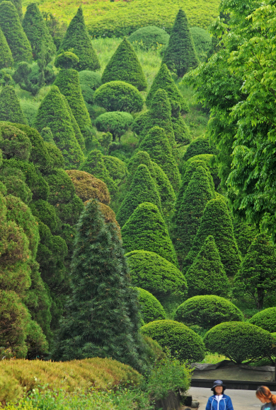 유럽풍의 정원이 연상되는 제이드 가든.