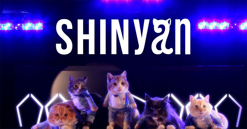 유튜브 영상 캡처