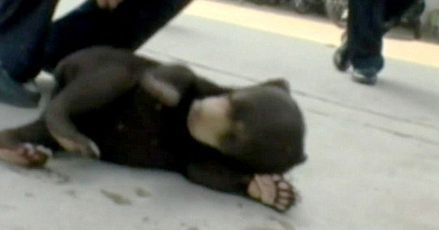 유튜브 영상 캡처