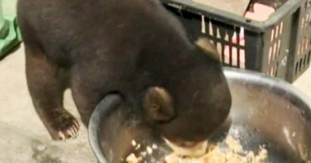 유튜브 영상 캡처