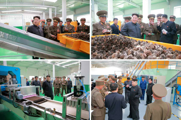 北김정은, 현대화 건설 거친 양묘장 시찰