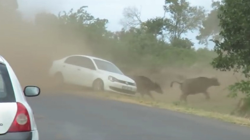 유튜브 영상 캡처