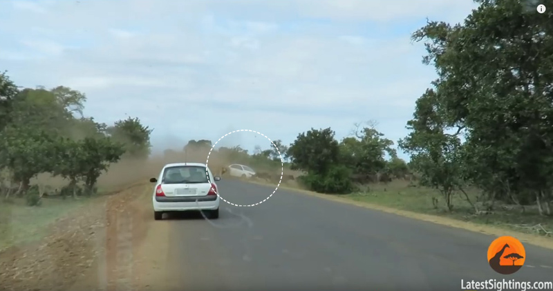 유튜브 영상 캡처