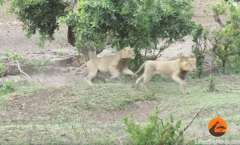 유튜브 영상 캡처