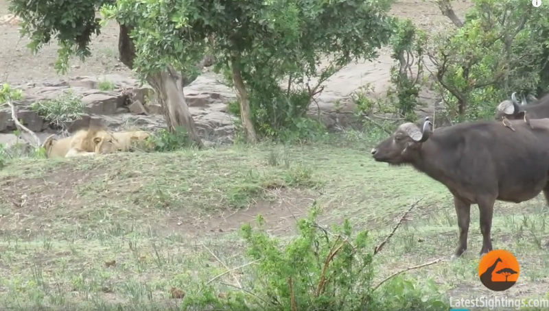 유튜브 영상 캡처