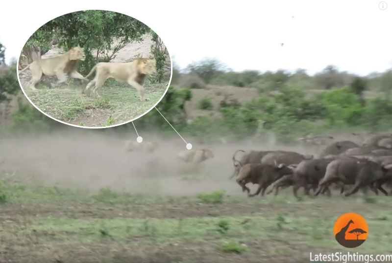 유튜브 영상 캡처