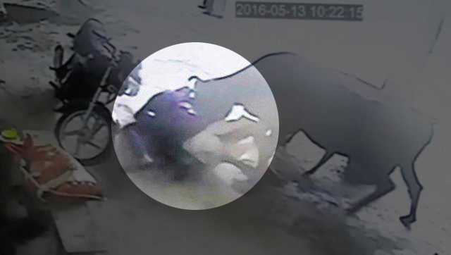 유튜브 영상 캡처