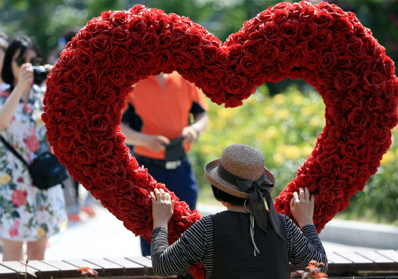 사랑, 그리고 장미