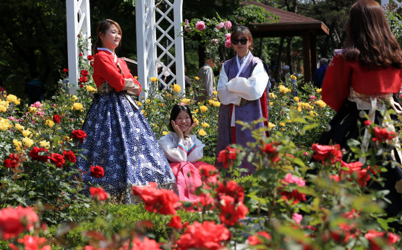 장미축제와 한복