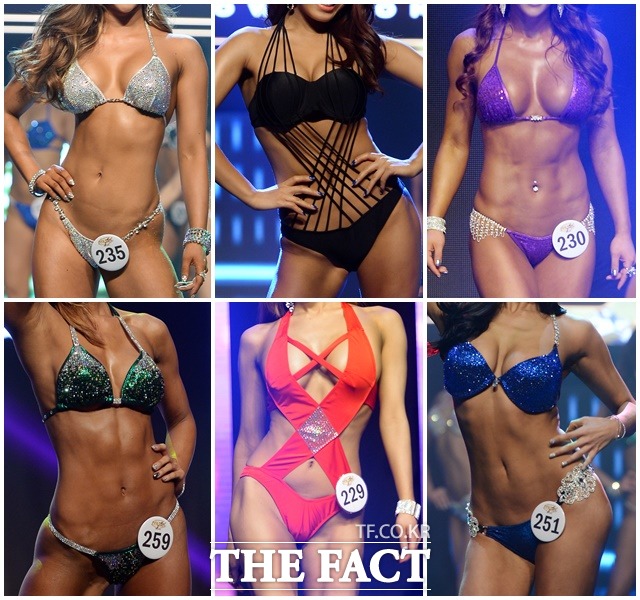 ‘2016 WBFF 아시아챔피언십’ 대회. 더팩트 제공