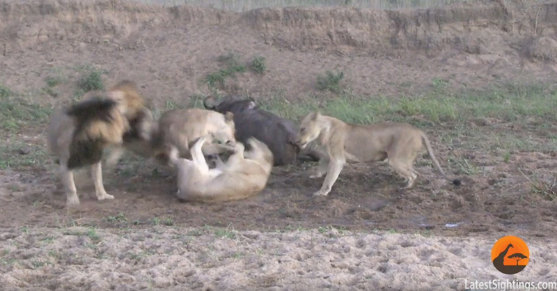 유튜브 영상 캡처