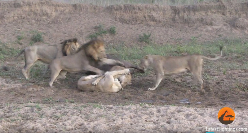 유튜브 영상 캡처
