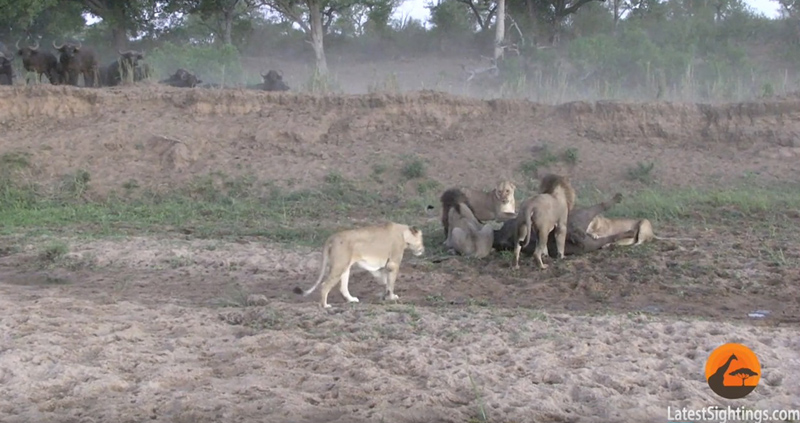 유튜브 영상 캡처