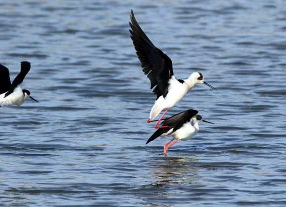 사랑은 이뤄지기 힘들다