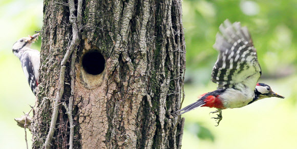 ’바쁘다 바뻐’