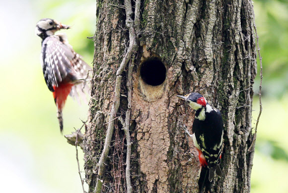 ’바쁘다 바뻐’