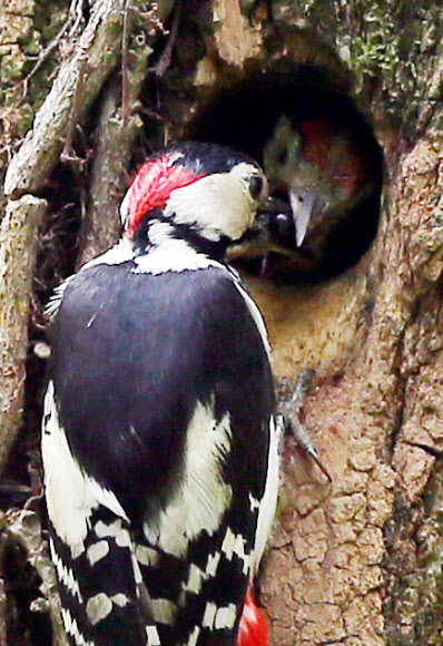 ’많이 먹고 어서 자라거라’