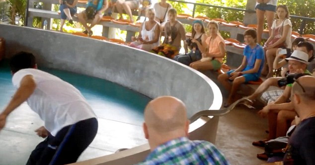 유튜브 영상 캡처