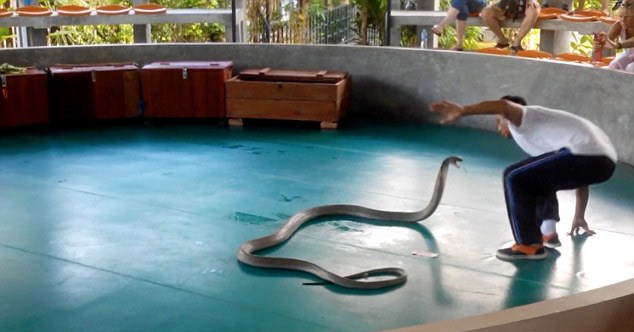 유튜브 영상 캡처