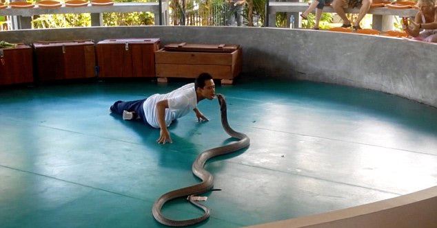 유튜브 영상 캡처