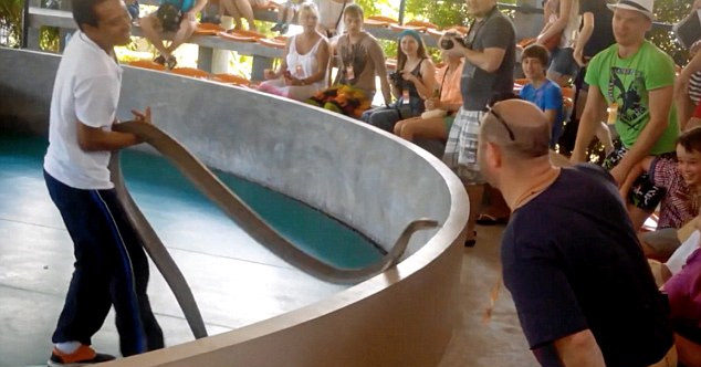 유튜브 영상 캡처