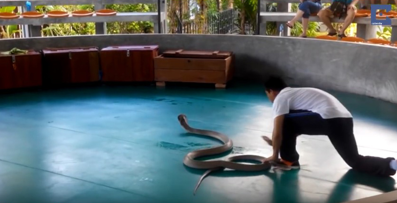 유튜브 영상 캡처