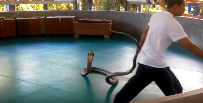 유튜브 영상 캡처