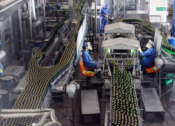 중국 산둥성 칭다오시 칭다오맥주박물관과 함께 위치한 맥주공장에서 직원들이 제품의 검수작업을 하고 있다.
