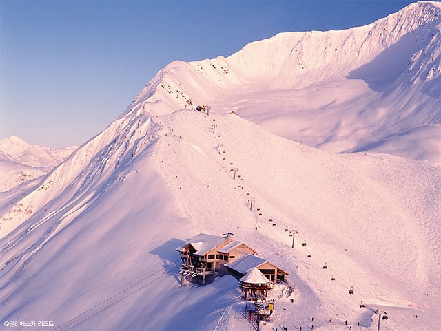 알리에스카 리조트는 바다를 내려다보며 스키를 탈 수 있는 곳으로 인기다.