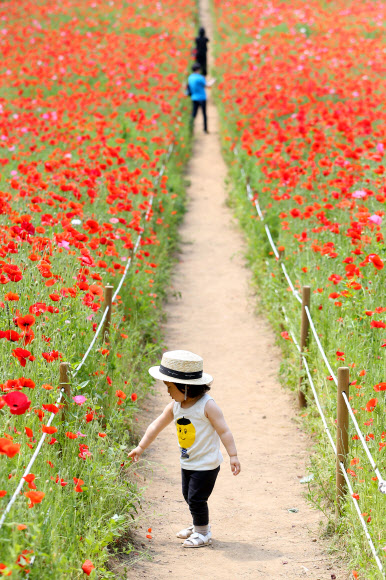 ’꽃길 위 어린천사’