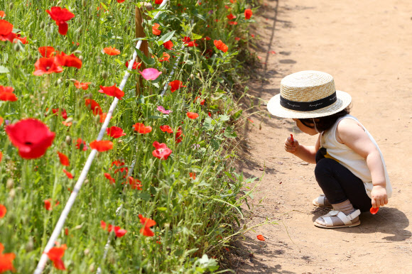 ’신기한 꽃구경’