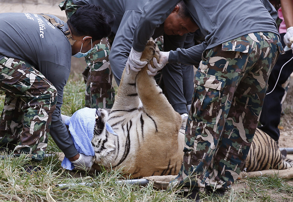 사진=EPA연합뉴스