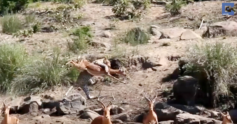 유튜브 영상 캡처