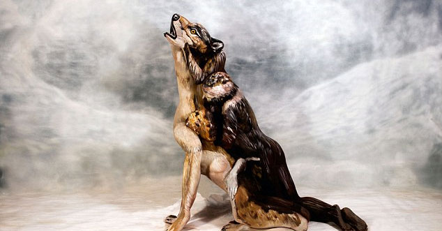 사진=요하네스 스토터